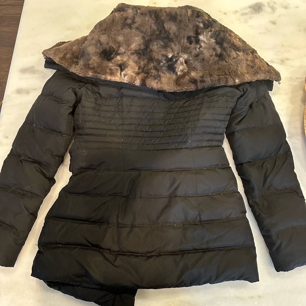 Winter Coat - Picture 3 of 4